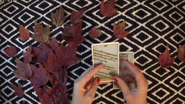 Release Reading | Let Go of the Forcing and Unleash Your Force | Timeless Tarot Card Reading смотреть онлайн