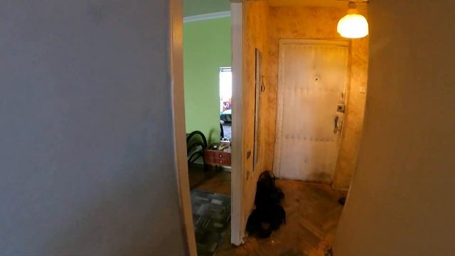 квартира с видом на Москва реку смотреть онлайн
