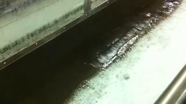 Размачивание грязного ковра в специальной ванне смотреть онлайн