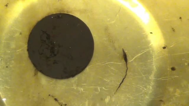 Чистка монеты в кока коле и ультразвуковой ванне смотреть онлайн