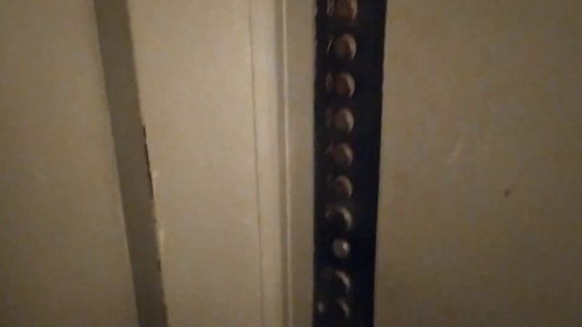 Лифт МЛЗ 320 кг 0.71 м/с с прикольной панелью приказов смотреть онлайн