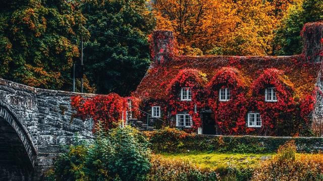 Музыка для медитации. Космическая музыка. Новинки музыки смотреть онлайн