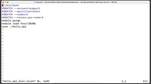 How to run MPI jobs on IDUN HPC cluster смотреть онлайн