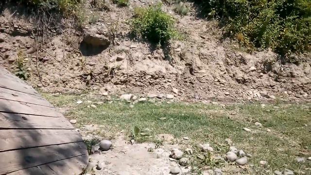 Какие вы хотите видеть игры на моём конале? смотреть онлайн