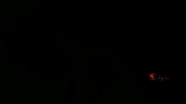 За окном опять крадётся ночь - Алексей Карелин - ст, Головчинер муз,Алексей Карелин смотреть онлайн