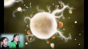 6+ Веселая игра Ботаникула ► Botanicula Игра как мультик ЧАСТЬ 3 Прохождение