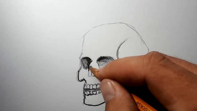 Как нарисовать череп | skull drawing смотреть онлайн