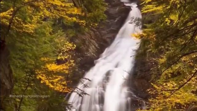 Как правильно вести жизнь: советы и способы