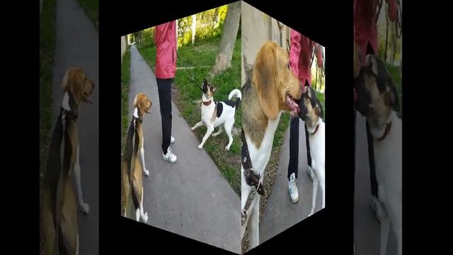 Кора и жизнь ! смотреть онлайн