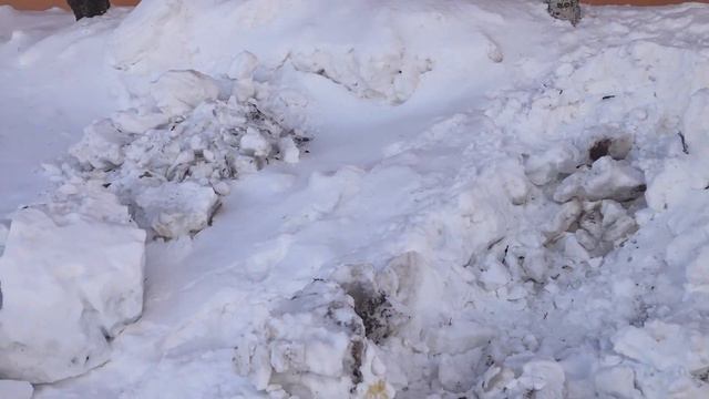 СНЕЖНЫЕ ДВОРЫ УЛИЦЫ ОЙУНСКОГО.МАРТ 2023 смотреть онлайн