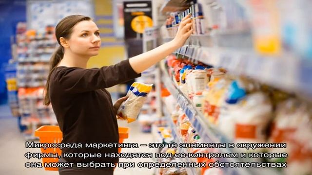 Микросреда фирмы — это… понятие, определение, основные факторы и структура смотреть онлайн