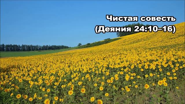Тихое время с Живой Жизнью: Деяния 24:10–23 (08082018) смотреть онлайн