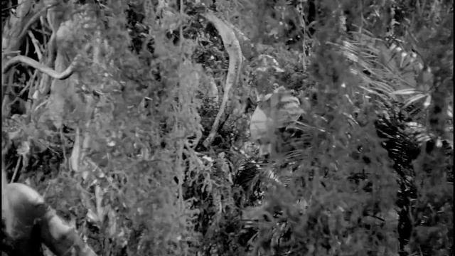 Anatahan 1953 - Sternberg - Legenda Em Português.