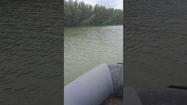 3 июня 2022 г. смотреть онлайн