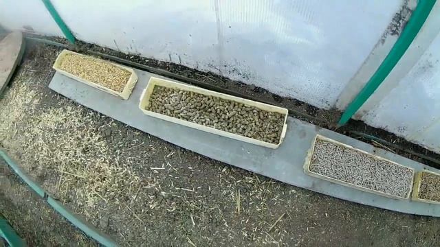 Каким комбикормом кормить кроликов? Как использовать отходы ячменя. смотреть онлайн