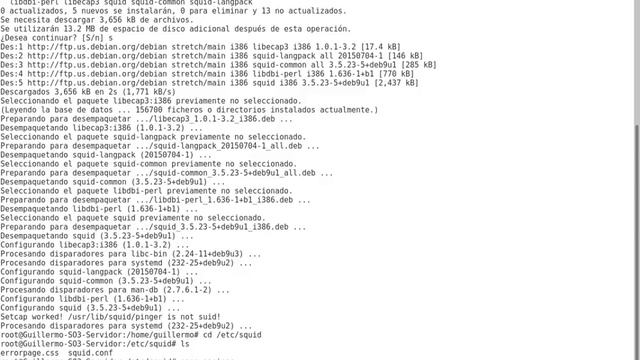 Servidor Proxy Squid en Debían Stretch 9.3 смотреть онлайн