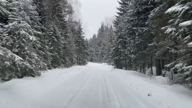 Зимняя сказка