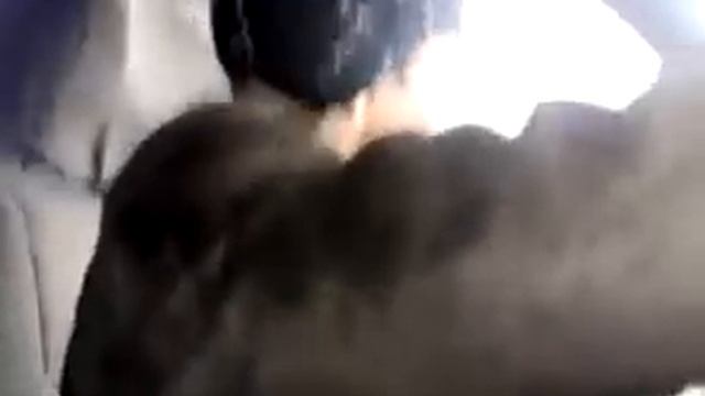 Железные нервы инструктора по вождению.mp4 смотреть онлайн