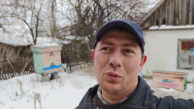 Ещё одна проблемка на пасеке во время зимовки☝️🌨️ смотреть онлайн