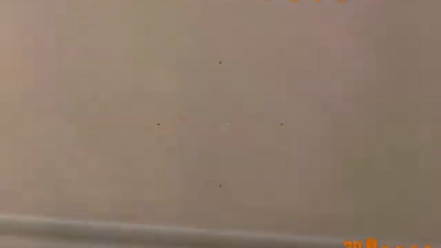 The Regiment Cheats смотреть онлайн