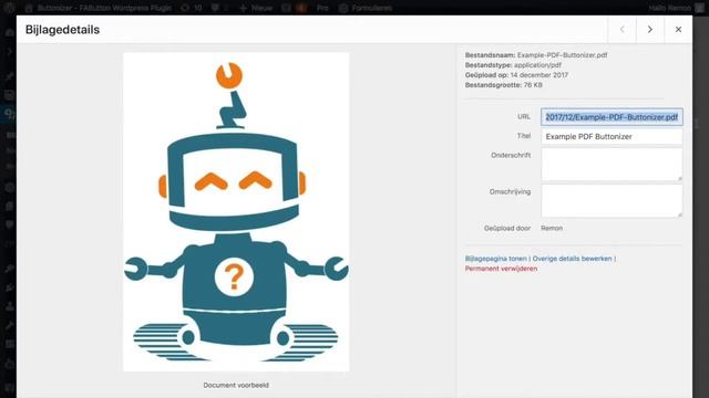 How to add a PDF download button with Buttonizer Wordpress plugin смотреть онлайн
