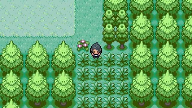 Top 5 Best NEW Pokemon Rom Hacks Of 2018 смотреть онлайн