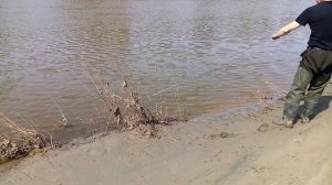 Рыбалка на кастинговую сеть.