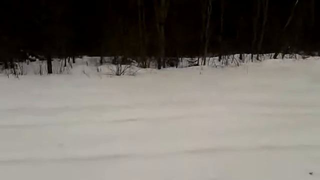 Охота с Русской гончей Песней. 21.02.2015 г. смотреть онлайн