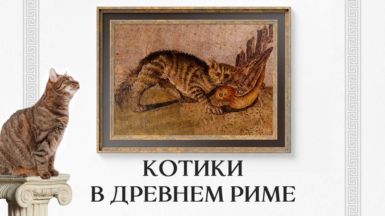 История кошек. Про котов в Древнем Риме.