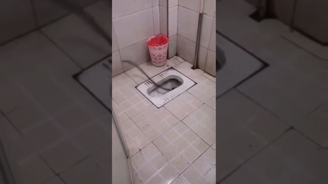 Очень опасно для жизни сантехник из жкх. смотреть онлайн