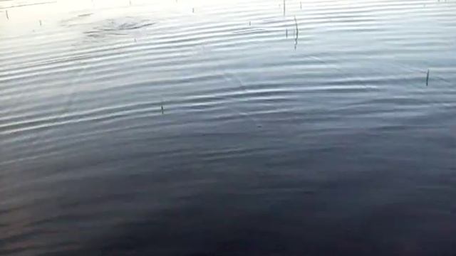 ловля щуки на рогатку 3 смотреть онлайн