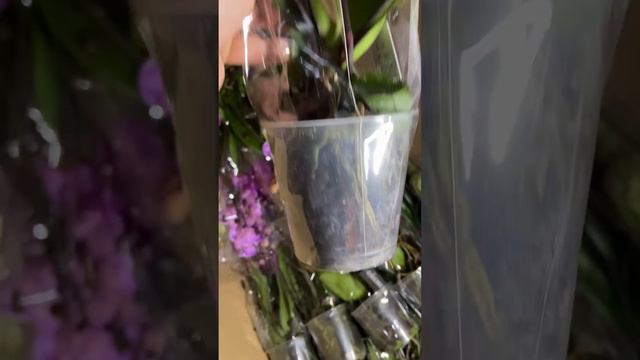 Частина 2 розпаковки. смотреть онлайн