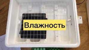 Инкубация перепелок от А до Я в инкубаторе Несушка. Главные характеристики и проблемы инкубатора