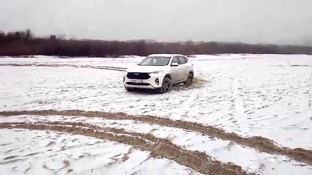 Хавейл F7 смотреть онлайн