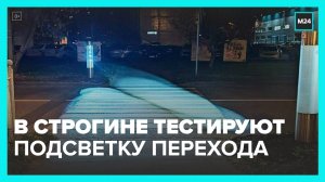В Строгине решили протестировать новую подсветку пешеходного перехода - Москва 24