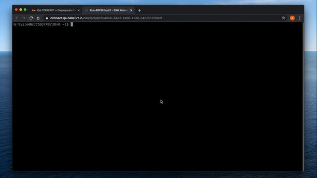 CONS3RT Help – Remote Access (Linux) [Update] смотреть онлайн