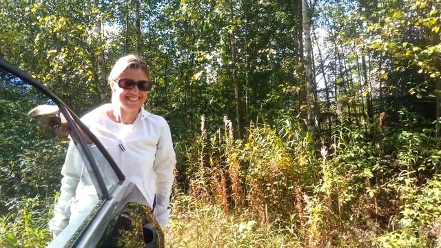 Как собирать грибы в Финляндии. смотреть онлайн