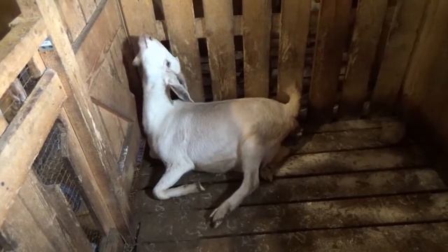 Зимний вальс смотреть онлайн