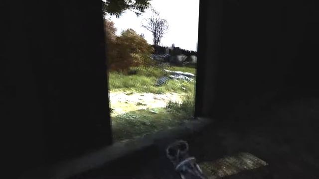DayZ #1 [2 человека в Новом Соборе] смотреть онлайн