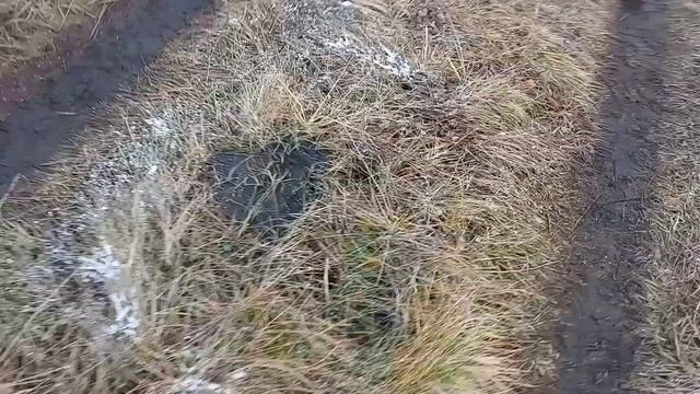 отстрел дроби 3 на крахмале 50 метров по 5 литровке смотреть онлайн