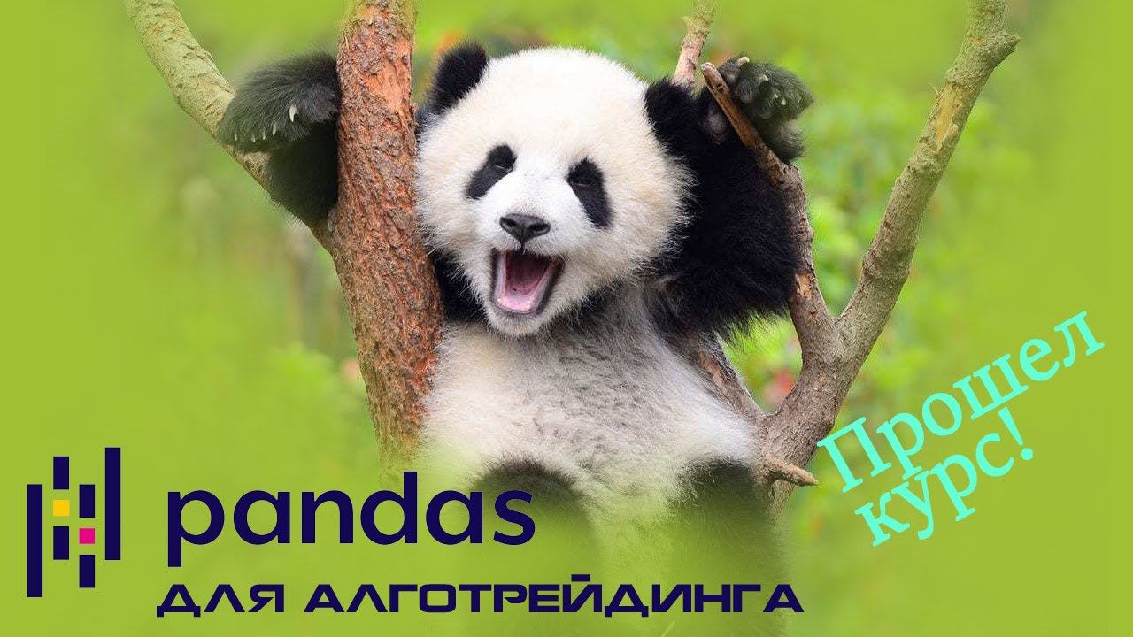 Прошел курс "Pandas для Анализа данных" смотреть онлайн