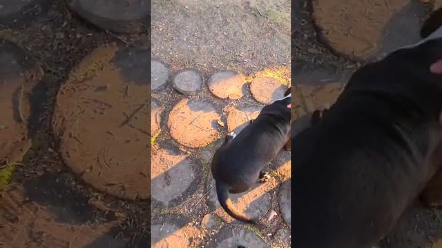 В гостях у сказки смотреть онлайн