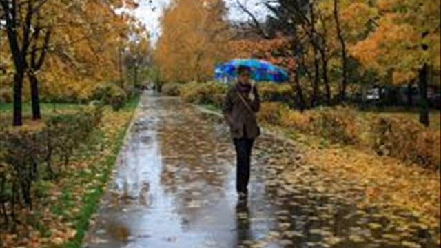 Мой печальный скрипач смотреть онлайн