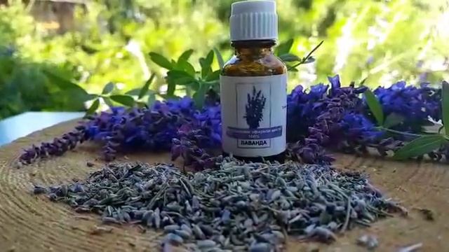 ЭФИРНОЕ МАСЛО ЛАВАНДЫ || Помогаем уравновесить эмоции смотреть онлайн