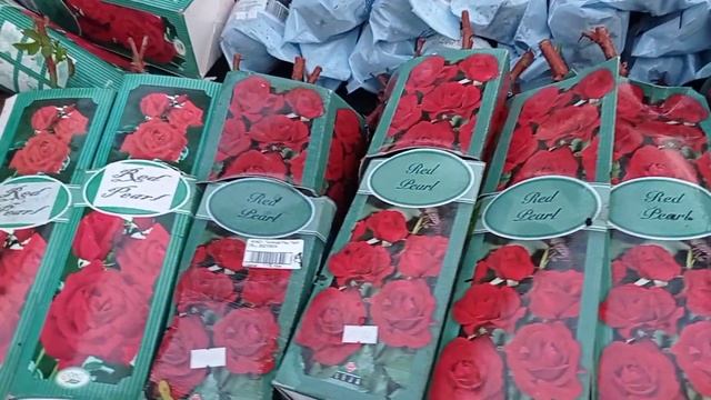 Поехали в ВАШ САД! Бал хризантем. смотреть онлайн