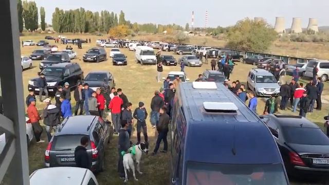 Тараз чемпионат СНГ смотреть онлайн