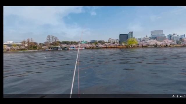 Mind-Blowing Fishing in VR: Real Fishing VR on Meta Quest 2! смотреть онлайн