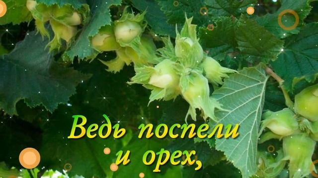 С первым днем августа, друзья.mp4 смотреть онлайн