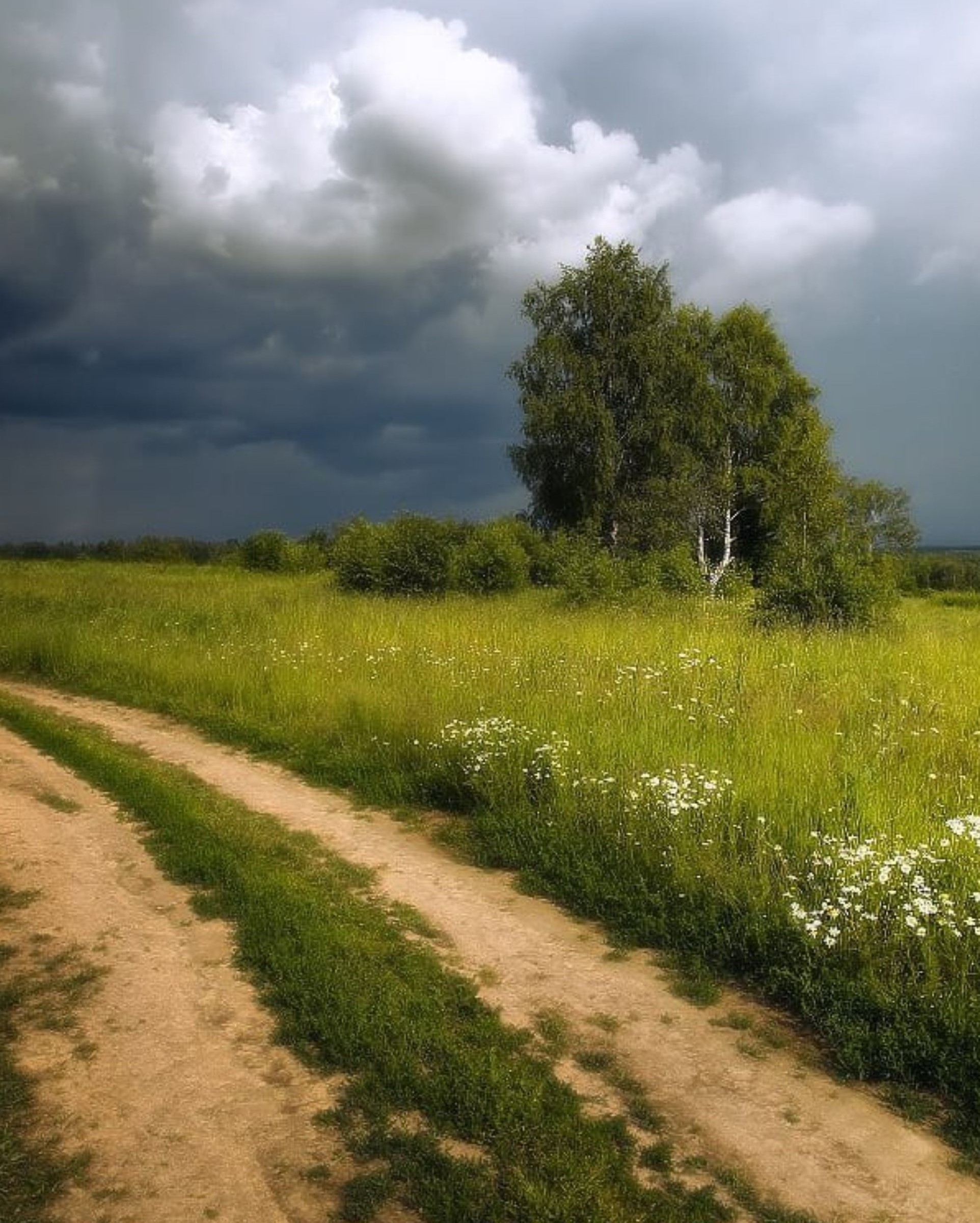 Олег Берег Сказки у Костра