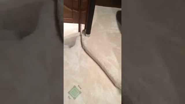 Укладка ковролина на яхте. смотреть онлайн